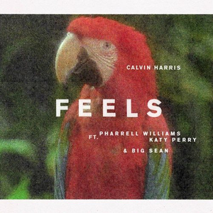 Calvin_Harris_-_Feels_cover_art (1)